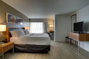 Holiday Inn & Suites Peoria At Grand Prairie by IHG - Chambre