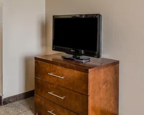 Comfort Inn & Suites Lakeland North I-4 - Chambre