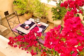 Dar Attajalli - View from room