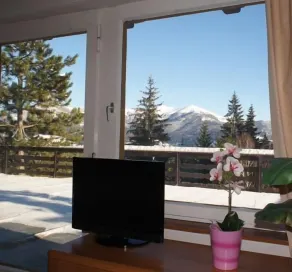 Blue Mountain Hotel - Vista dalla camera