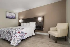 Red Roof Inn Washington, NC - Habitación
