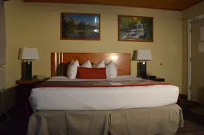 Econo Lodge Inn & Suites - Vue de la chambre