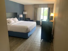 Comfort Inn Horsham - Philadelphia - Chambre