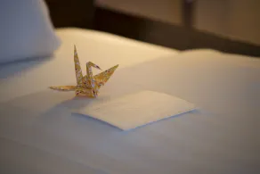 Hotel Nikko Tsukuba - Chambre