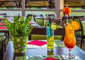 Patak Park Hotel Visegrád - Restaurant