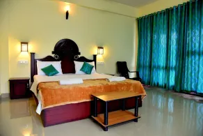 Jungle Palace Homestay - Room