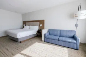 Holiday Inn Express & Suites Dallas NE Arboretum - Chambre