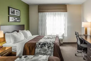 Sleep Inn & Suites Dayton South - Room