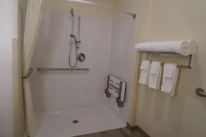Comfort Inn & Suites Medina NY near Erie Canal - Badeværelse