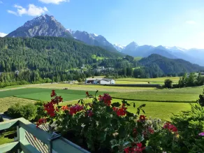 Typically Swiss Hotel Altana - Utsikt från rummet