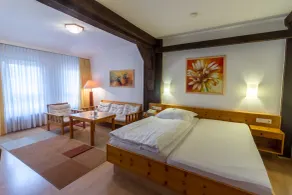Hotel Sauerbrey - Room