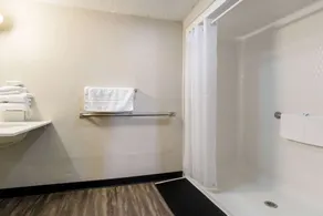 Rodeway Inn Near Hall of Fame - Salle de bain