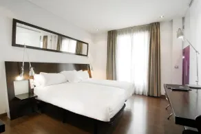 Petit Palace Arana Bilbao - Vue de la chambre