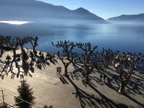 Hotel Elvezia Ascona - Vue de la chambre