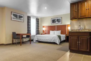 Quality Inn San Jose Airport-Silicon Valley - Chambre