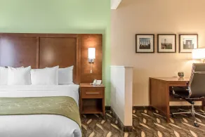 Comfort Suites Rolla - Vue de la chambre
