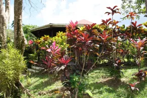 Hibiscus Valley Inn - Room