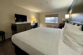 Baymont by Wyndham Kent - Seattle - Chambre