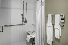 Holiday Inn Express & Suites Coldwater by IHG - Bathroom