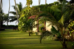 Weligama Bay Resort - Vue de la chambre