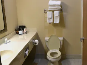 Quality Inn & Suites Brooks Louisville South - Bathroom