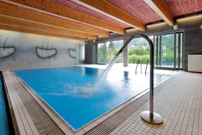 Hotel U Tří volů - Pool