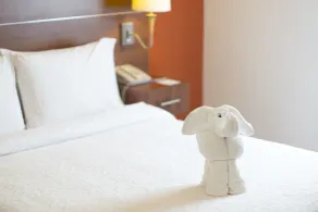 Hampton Inn by Hilton San Juan del Rio - Zimmer