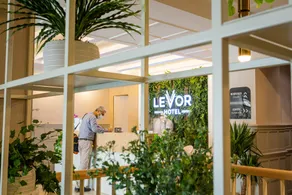 Levor Hotel - Recepción
