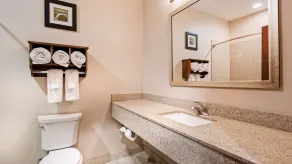Best Western Plus Denver City Hotel & Suites - Bathroom