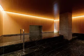 Kyukaruizawa Kikyo, Curio Collection by Hilton - Piscine