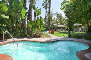 Embassy Suites by Hilton Brea North Orange County - Piscine