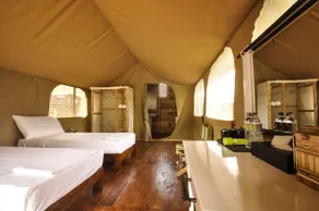 Wild Glamping Knuckles - Thema Collection - Værelse