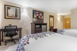 Red Roof Inn La Marque - Texas City - Room