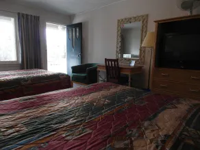 The Lionstone Inn Motel and Cottages - Camera