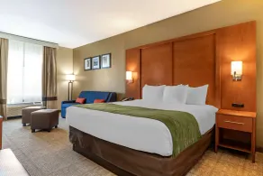 Comfort Inn & Suites Orangeburg - Chambre