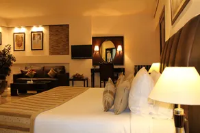 Hotel Shanti Palace Mahipalpur - Room