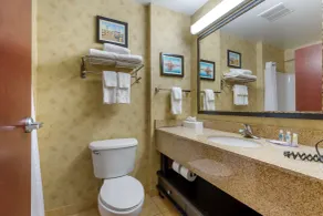 Comfort Inn & Suites Cambridge - Bad