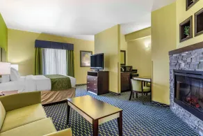 Comfort Inn Athens I - 75 - Chambre