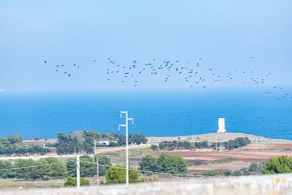 Masseria dei Monaci - Vue de la chambre