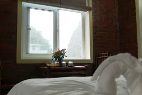 Ninh Binh Greenland Homestay - View from room