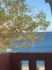 Umbi Sharks Bay Diving Village - Vue de la chambre