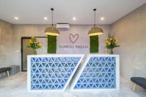 Canggu Dream Studios & Villas - Reception