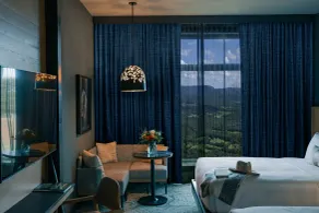 Cloudland at McLemore Resort Lookout Mountain, Curio by Hilton - Udsigt fra værelset