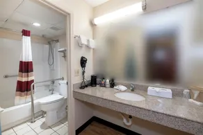 Red Roof Inn Dothan - Bathroom