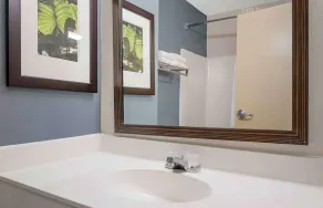 Extended Stay America Suites - Fort Wayne - South - Salle de bain