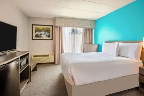 Days Inn by Wyndham Sudbury & Conference Centre - Chambre