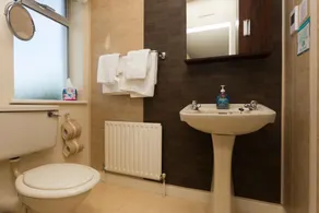 Fern Rock B&B - Baño