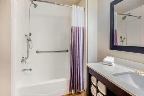 La Quinta by Wyndham McAllen Convention Center - Salle de bain