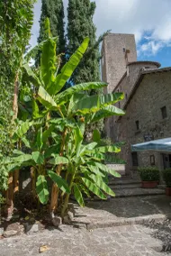 borgo antico resort diffuso - Reception