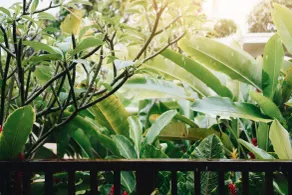 Maha Hills Resort by Mahaprana Experience - Ausblick vom Zimmer